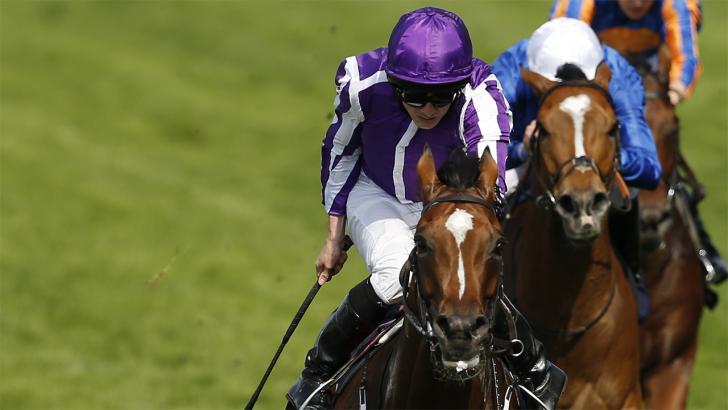 Reigning champion Highland Reel is bidding to go out on a high in the Breeders' Cup Turf